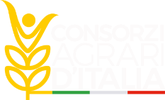 logo_cai