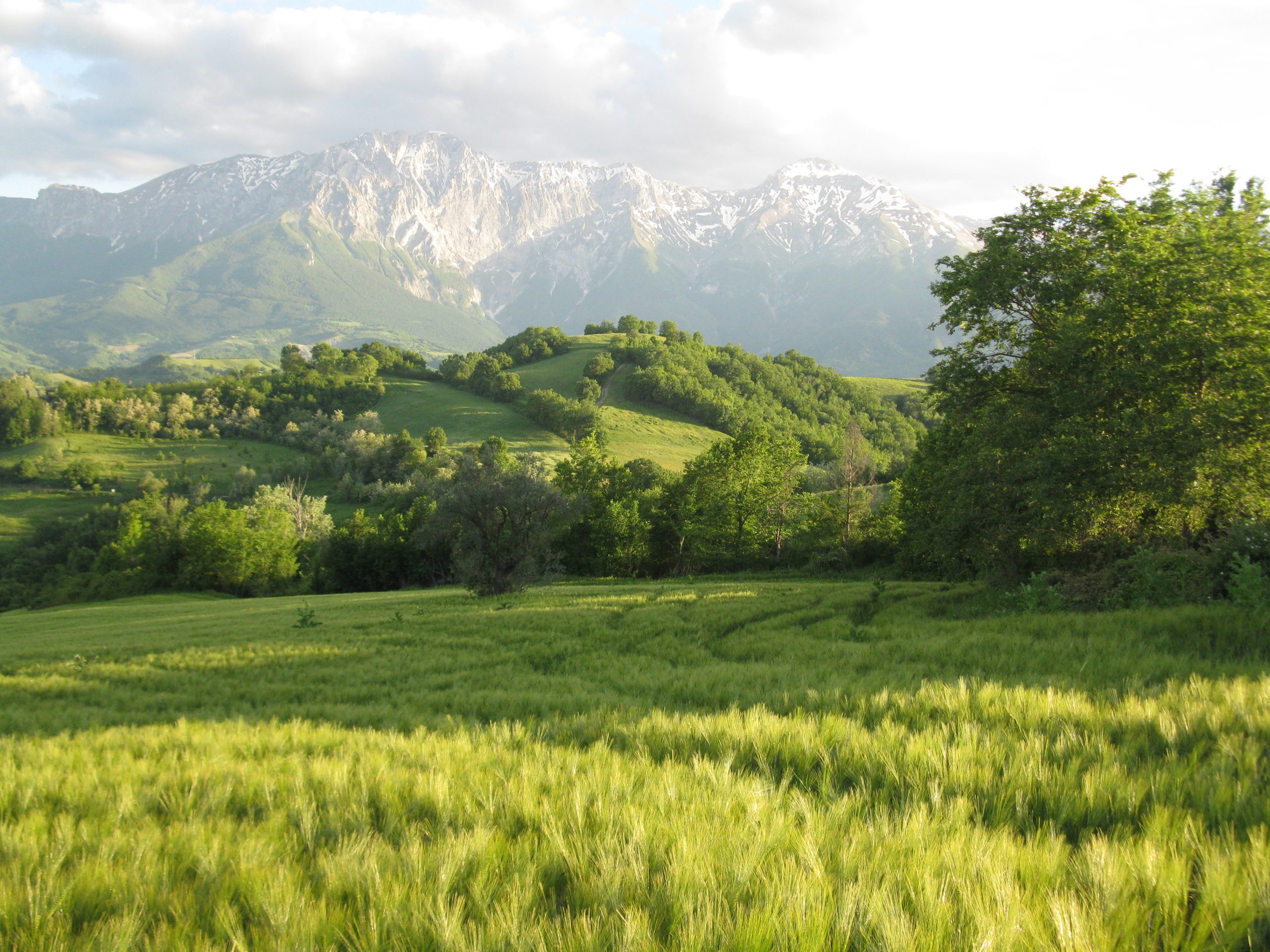 img-contatti